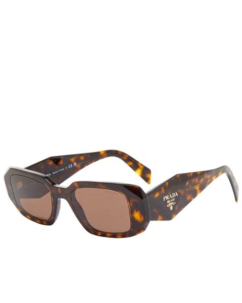 prada symbole sunglasses tortoise